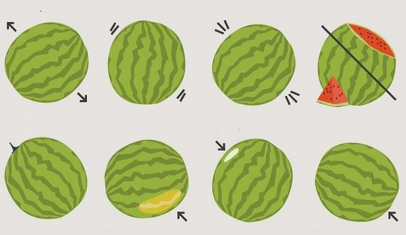 nola aukeratu sandia